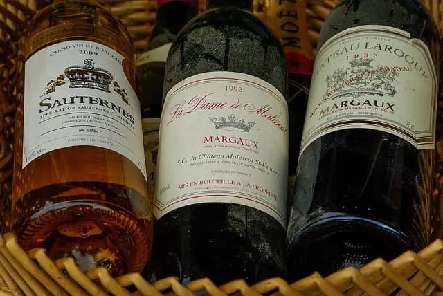 Les Meilleurs Vins de France : Guide d'Achat Complet