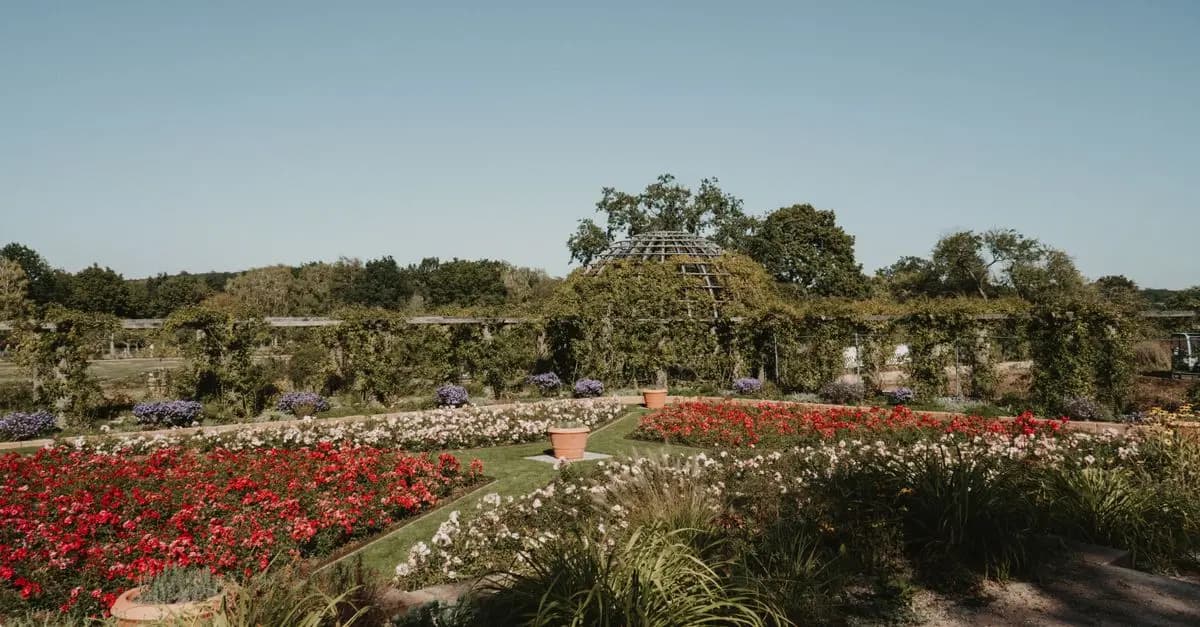 Errores comunes en jardinería para principiantes