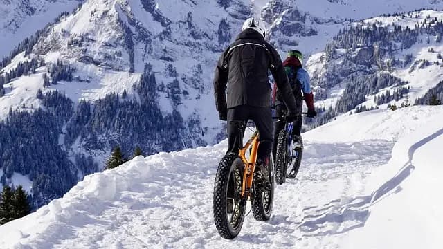 Guía de Compra: Mejores Bicicletas Eléctricas 2026